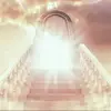 CarynPrice - @injesusnameamen45 - TikTok