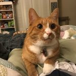 Caryn Robinson - @googieloo - Instagram