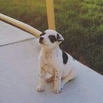 blue - @carynsanchez15 - Instagram