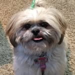 Caryn Axelrad Shapiro - @rubymom18 - Instagram