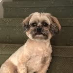Caryn Piaser Shapiro - @carynbethps - Instagram