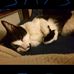 Karen Shapiro - Facebook