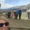 Caryn Shearer - @caryn.shearer - TikTok