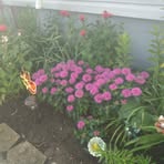 Karen Simmons - Facebook