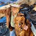 Caryn Summers - Facebook