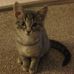 Karen Sutherland - Facebook
