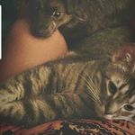 Caryn the Dog Walker - @carynscaringpetcare - Instagram