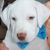 Cassandra Boyer - Facebook
