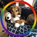 Casandra Noble Brady - Facebook
