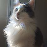 Casandra Carr - @casandra.carr - Instagram