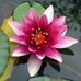 Casandra Castillo - Facebook