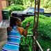 Cassandra Daugherty - Facebook
