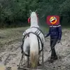 David Casandra - @david.casandra - TikTok