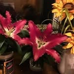 Valerie Casandra Dunlap - @vcd0969 - Instagram