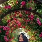 Casandra Moreno - Facebook