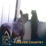 Casandra Ramey - @casandrar28 - Instagram