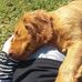 Casandra Richards - Facebook