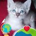 Cassandra Ruth - Facebook