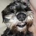 Cassandra Rutherford - Facebook
