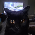 Casandra Stephenson - Facebook