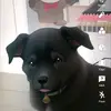 cassandrasweeney4 - @cassandrasweeney4 - TikTok