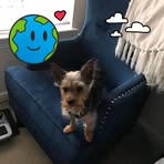 Casandra Townsend - Facebook