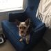 Casandra Townsend - Facebook