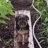 Casey Abbott - @casey.abbott - TikTok