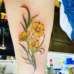 Casey Carrell Almond - @caseyalmond - Instagram