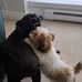 Casey Amaral - Facebook