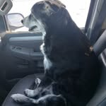 Casey Amato - @dirtfarmercasey - Instagram