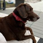 Casey Andersen - @canders433 - Instagram