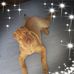Casey Anderton - Facebook