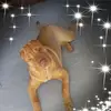 Casey Anderton - @caseyanderton - TikTok