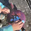 Andrea Casey - @andrea.casey6 - TikTok
