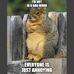 Casey Andre - Facebook