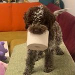 Casey - @casey_angel_shadow - Instagram