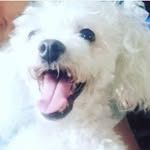 Casey Antonella Salinas - @caseyantonella2010 - Instagram