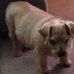 Casey Appleby - Facebook