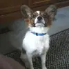 caseyarchuleta925 - @caseyarchuleta925 - TikTok