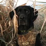 Casey Arends - @cjamsp - Instagram