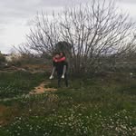 ~CaseyAriasHerrera~ - @_whxiscah_ - Instagram
