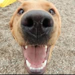Casey Arndt - @casey.arndt.1 - Instagram
