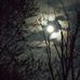 Casey Ashcraft Honebrink - Facebook