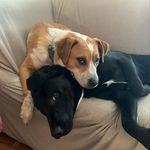 Asher and Casey McKinley - @asher_and_casey_mckinley - Instagram