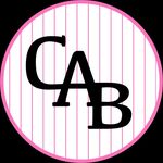 Casey at Bat - @caseyatbatband - Instagram