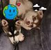 Casey Atherton - Facebook