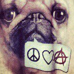 Casey Atwell - @peaceloveandanarchy - Instagram