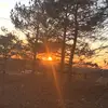 Casey Aul - @caseyaul - TikTok