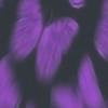 Caseybae - @not._.kay_kay - TikTok